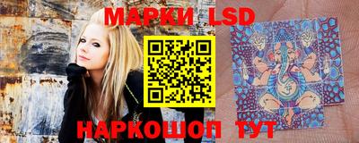 PSILOCYBIN Гусев