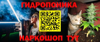 PSILOCYBIN Гусев