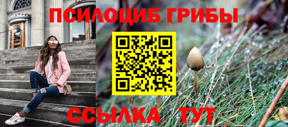 Нерюнгри  Псилоцибиновые грибы GOLDEN TEACHER  Галлюциногенные грибы Psilocybe  Вход с VPN 
